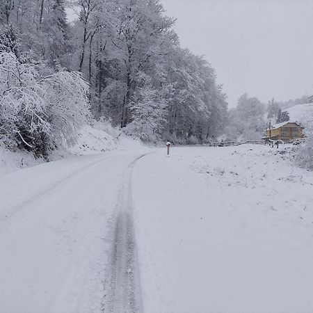 Zelena Oaza Bed & Breakfast Zgornja Kungota Luaran gambar