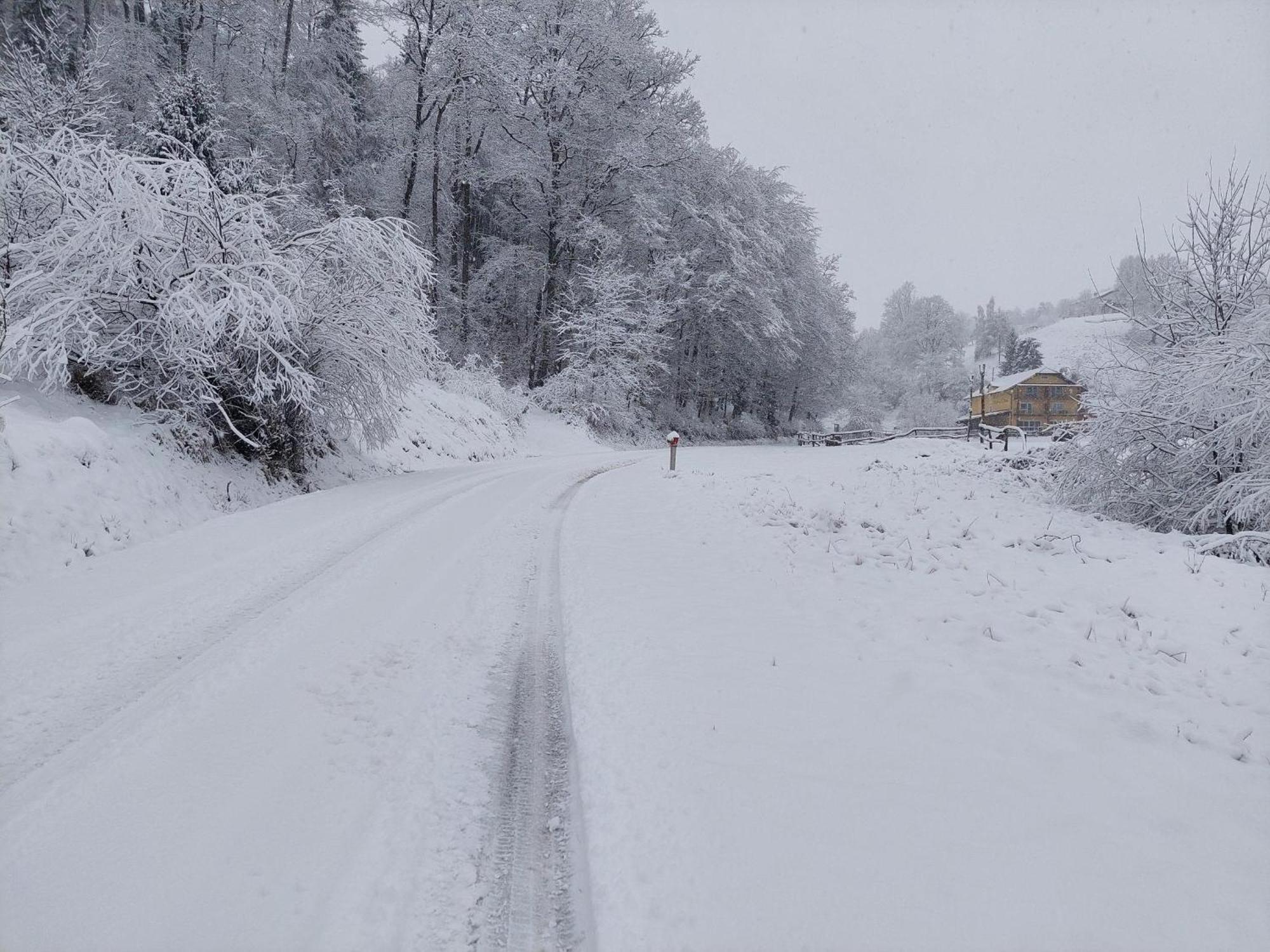 Zelena Oaza Bed & Breakfast Zgornja Kungota Luaran gambar