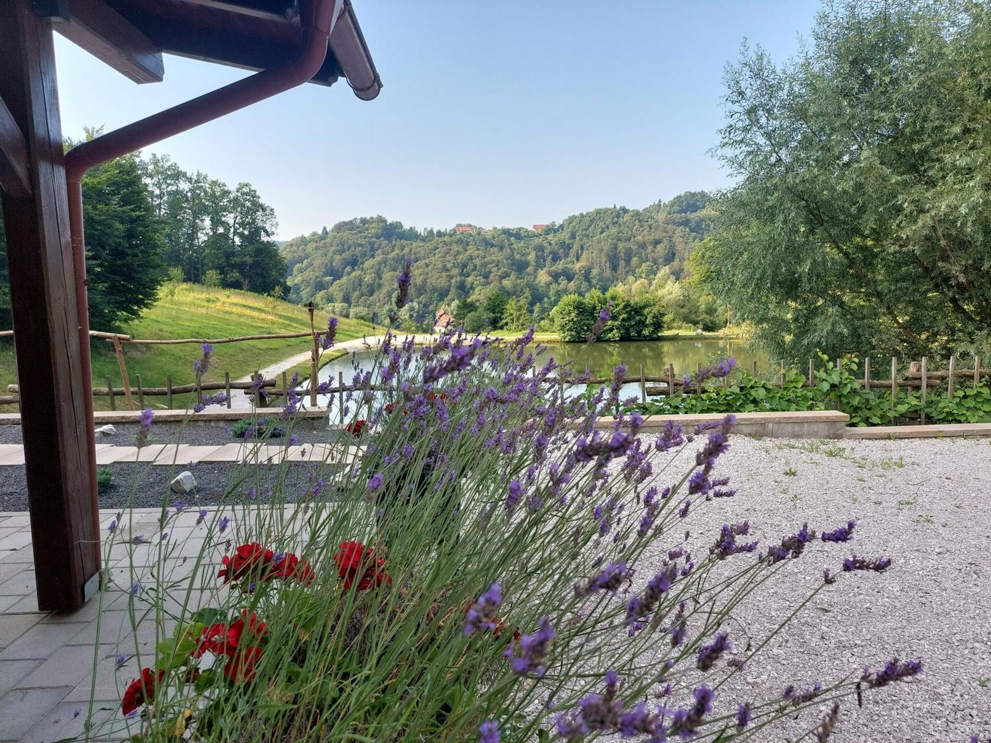 Zelena Oaza Bed & Breakfast Zgornja Kungota Luaran gambar